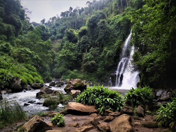 tanzania ridotta 3
