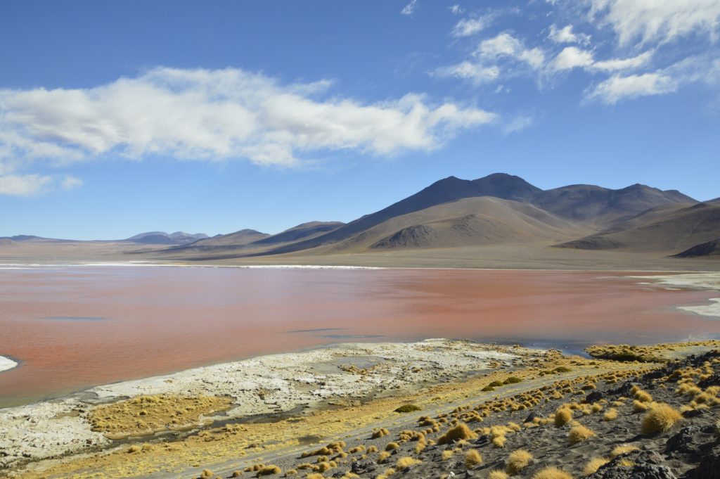 laguna colorada bolivia